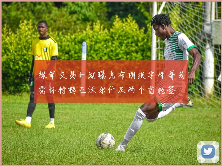 绿军交易计划曝光布朗换字母哥或需怀特鸭王沃尔什及两个首轮签